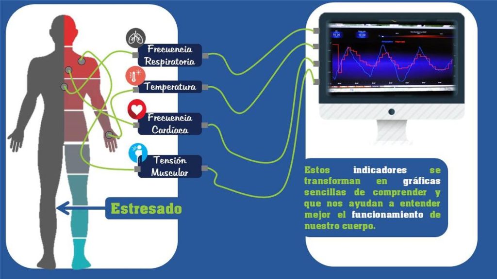 Biofeedback 